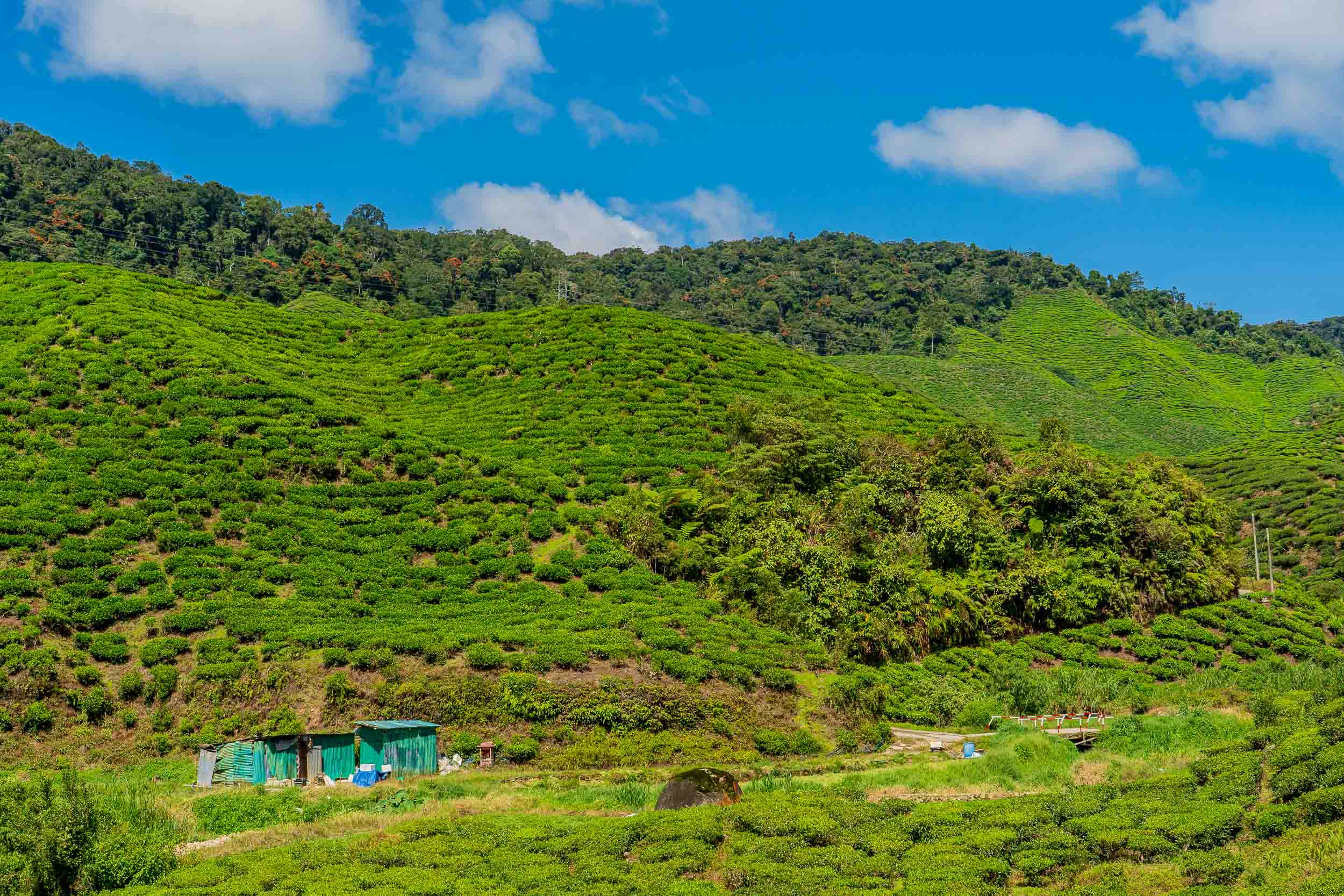Photography — Green Valley · Nature & Details